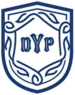 DYP 3D Logo